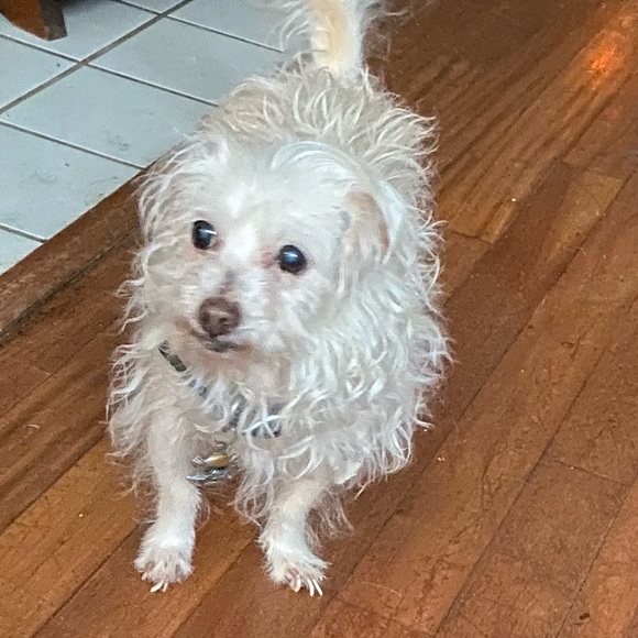 Introvert who likes to shop too much! - Picture 2 of 5